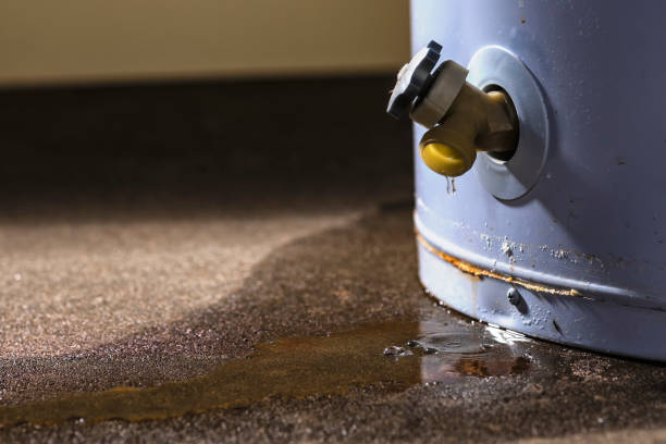 Best Water damage restoration process  in North Merritt Island, FL