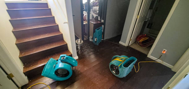 Best Basement water damage restoration  in North Merritt Island, FL