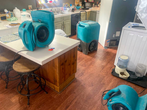 Best Water damage cleanup near me  in North Merritt Island, FL