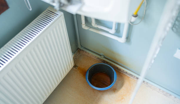 Best Water damage contractors near me  in North Merritt Island, FL