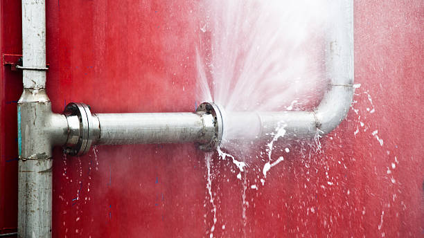 Best Water damage restoration near me  in North Merritt Island, FL